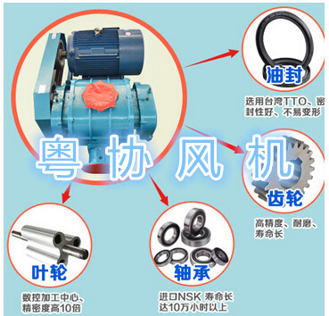 曝气罗茨风机