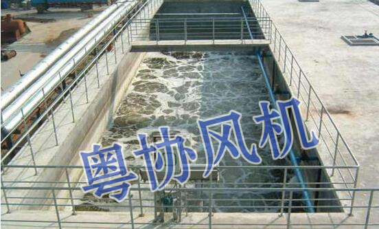 污水处理罗茨风机 污水处理罗茨风机