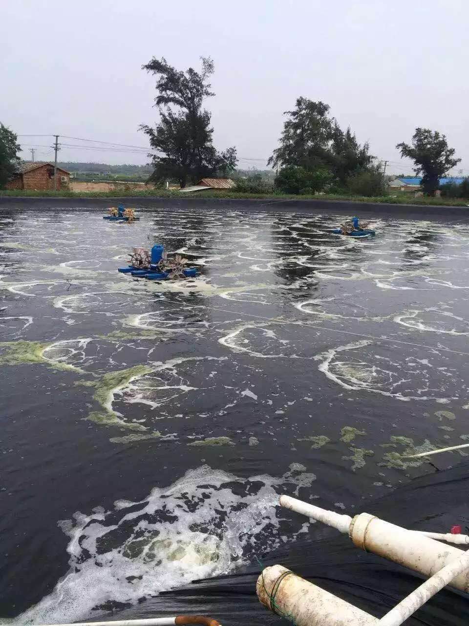 养殖用罗茨风机