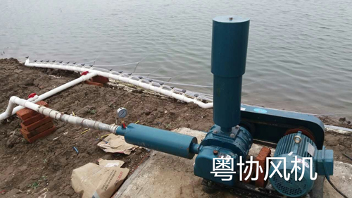 养殖增氧罗茨风机