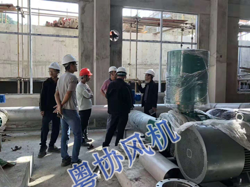 污水处理罗茨风机