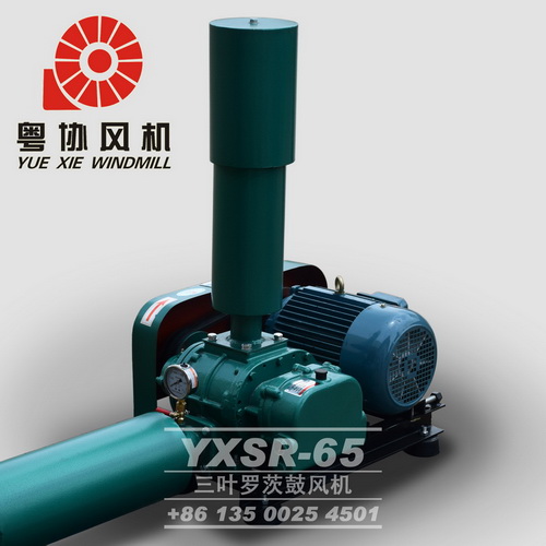广州三叶罗茨风机价格