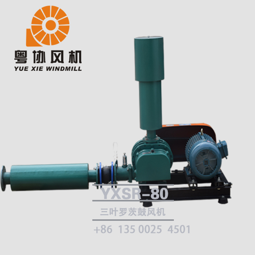 三叶罗茨鼓风机定制