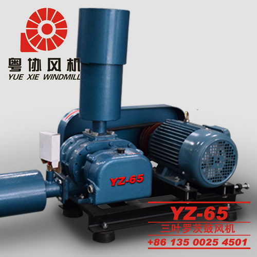 YZ-65水产养殖罗茨风机